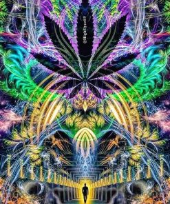 DMT