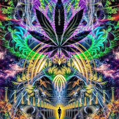 DMT