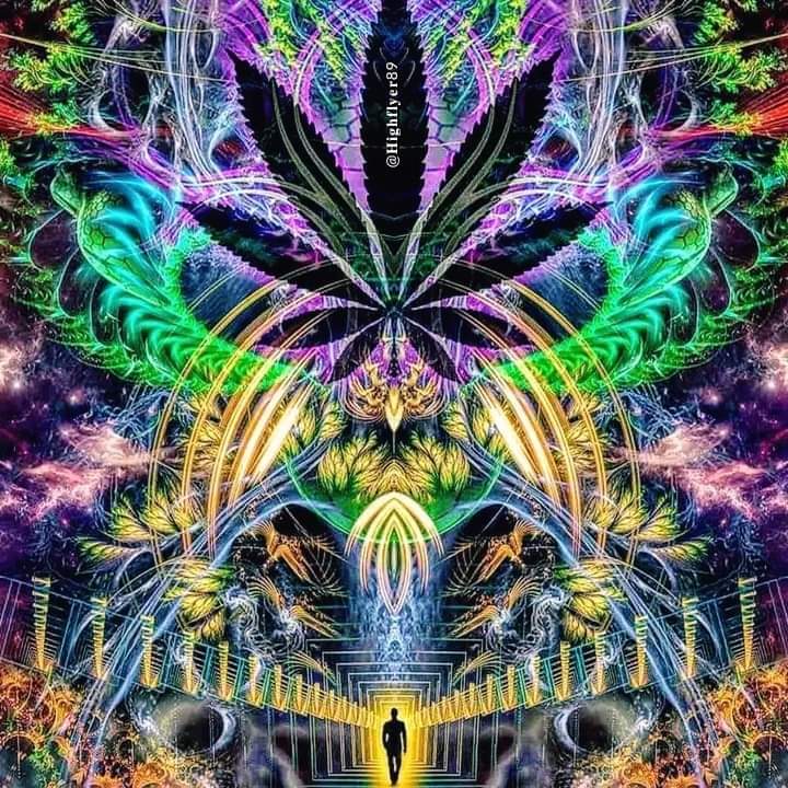 Dmt